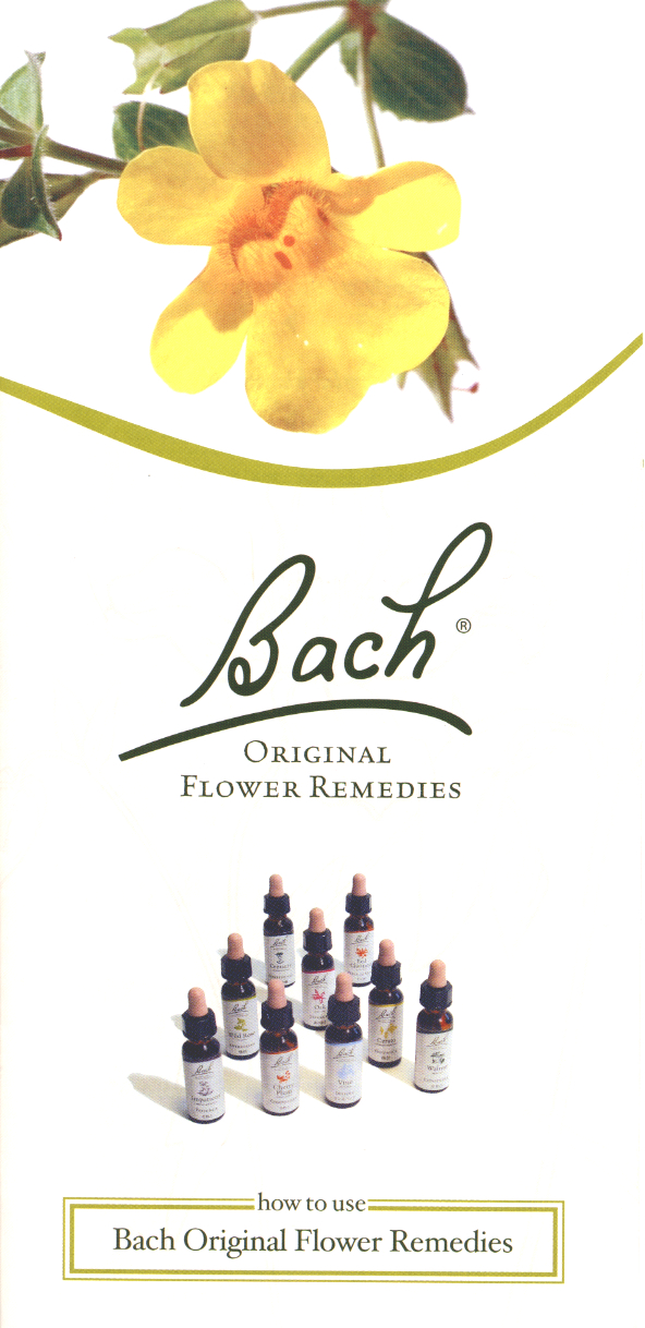 �`�F�A04�̎ʐ^